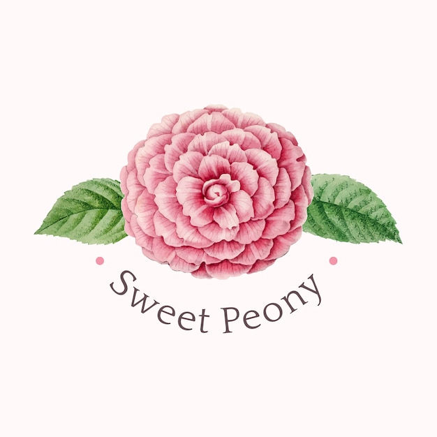 Vettore di progettazione di logo di peonia dolce