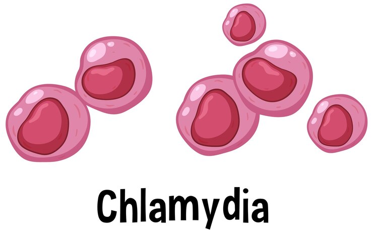 Vettore gratuito virus della clamidia con testo