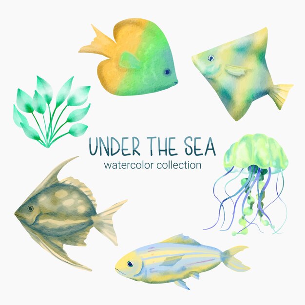 Vita marina Elemento carino Vita animale sotto il mare Creatura animale subacquea meduse, alghe e pesci