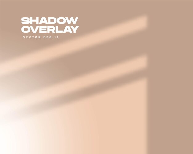 Windows Shadow Overlay Scene