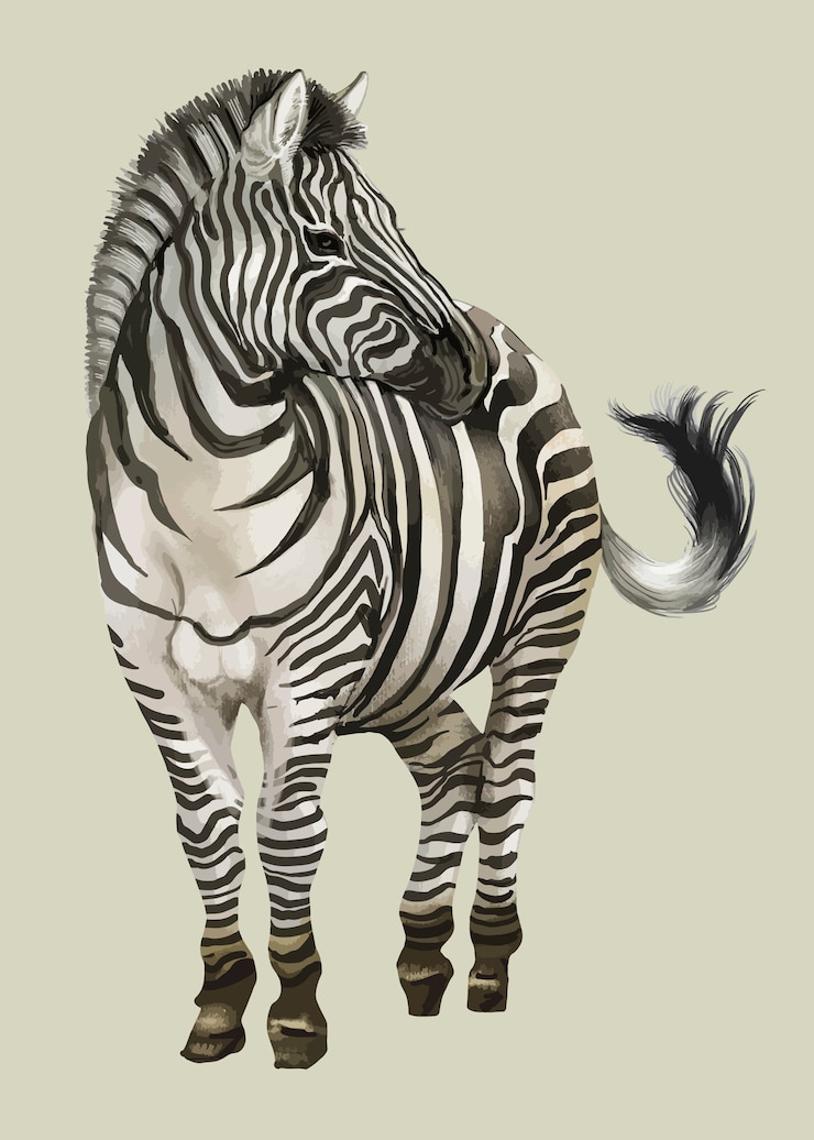 Vettore gratuito zebra disegnata a mano