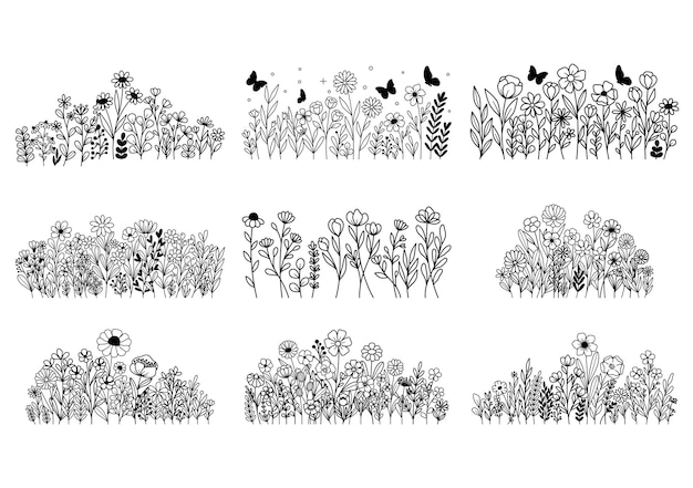 0002 Fiori di campo disegnati a mano