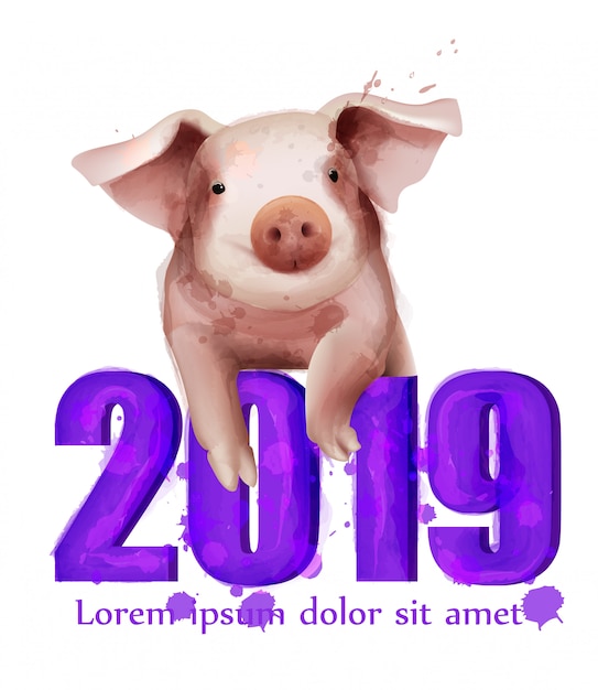 2019 Acquerello pig anno