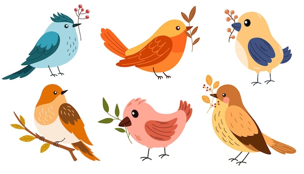 2044_birds_autset