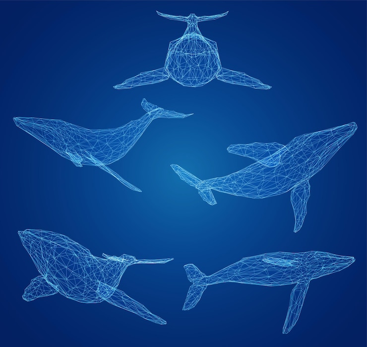 Vettore 3d set vettoriale protezione dell'oceano grande balena blu
