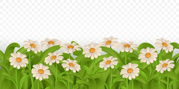 3d verde erba confine colorato margherita fiore camomilla vettore illustrazione