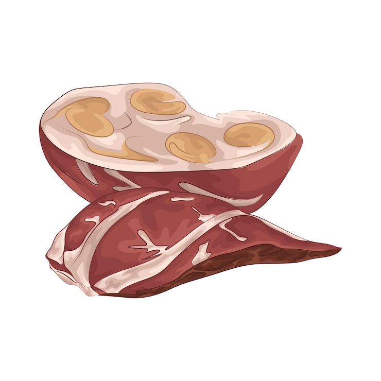 Vettore 5 carne