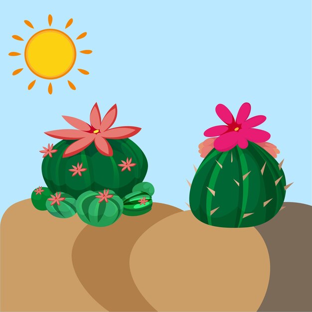 A mano collezione di cactus disegnato