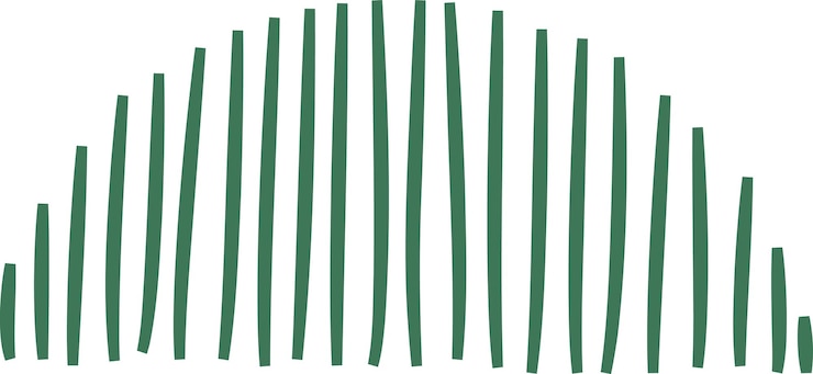 Vettore abstract arch lines doodle (dudle delle linee dell'arco astratto)