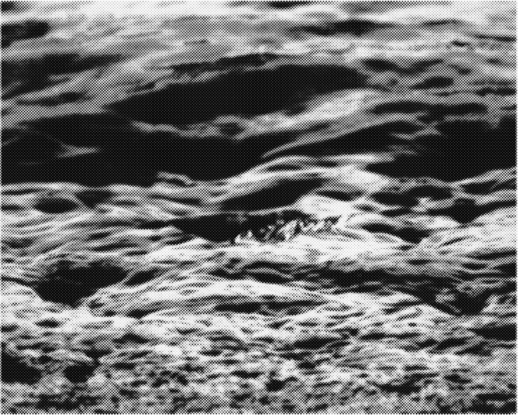Vettore abstract grunge ondulato semitone bitmap texture punteggiata sfondo o sovrapposizione