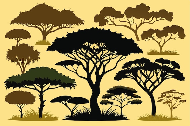 Acacia Tree Vector Collection Set di silhouette in bianco e nero dell'albero di acacia