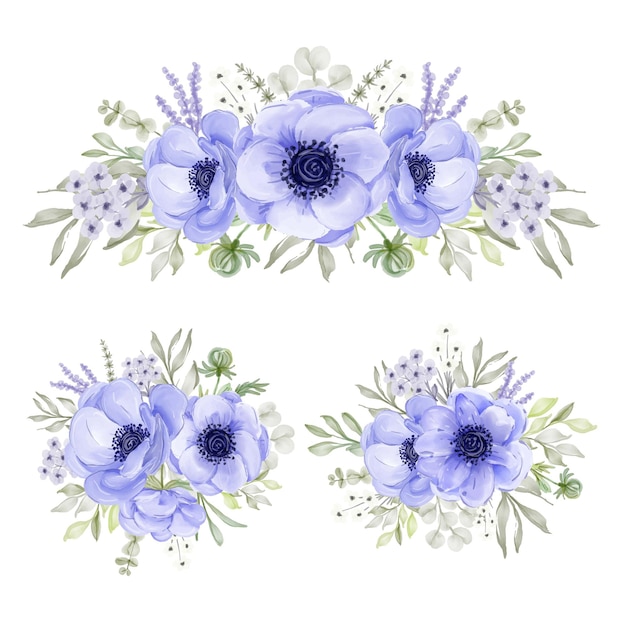 Accumulazione di disposizione dei fiori dell'acquerello viola anemone