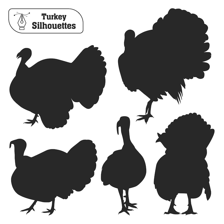 Vettore accumulazione di vettore della siluetta animale del tacchino nelle pose differenti