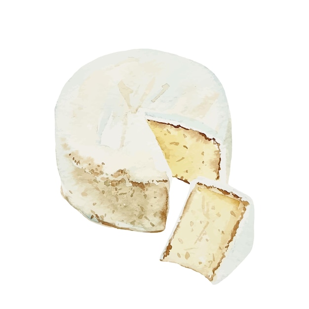 Acquerello a formaggio di camembert