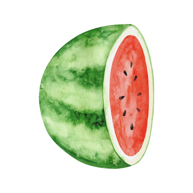Acquerello anguria clipart estate frutta matura Festa dell'anguria