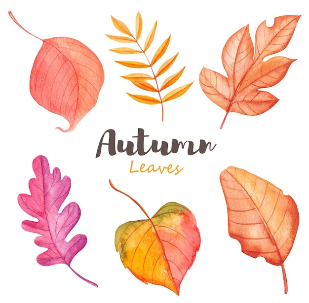 Acquerello autumn leaves collezione