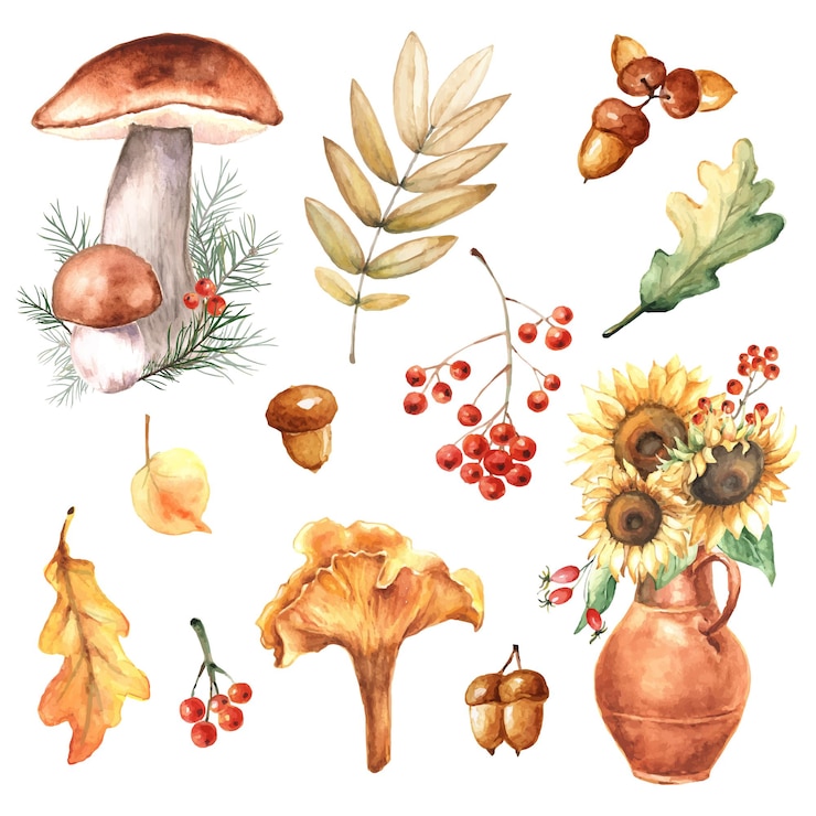 Vettore acquerello autunno set di foglie autunnali, girasoli, funghi, ghiande, bacche