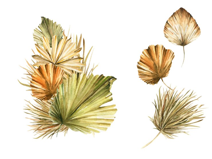 Vettore acquerello boho bouquet fiori secchi tropicali foglie di palma erba floreale set per partecipazioni di nozze