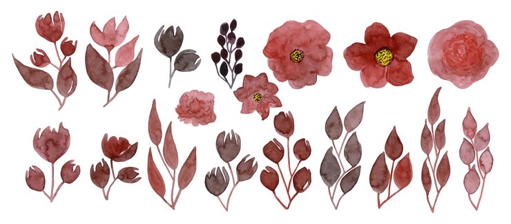 Vettore acquerello collezione di arrangiamenti di fiori e foglie