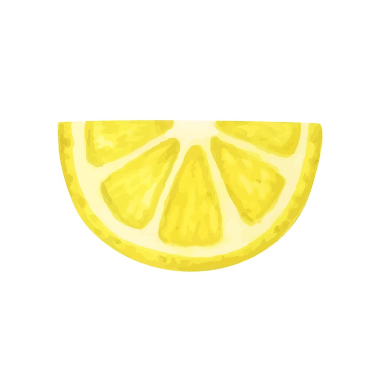 Vettore acquerello di limone fetta di vettore di limone