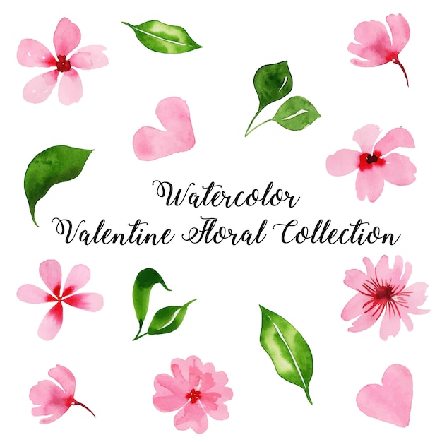 Acquerello Valentine Floral Collection