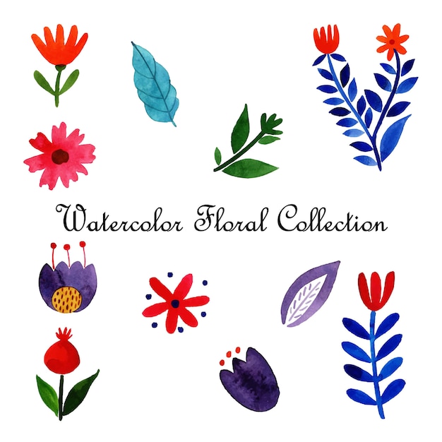 Acquerello Valentine Floral Collection