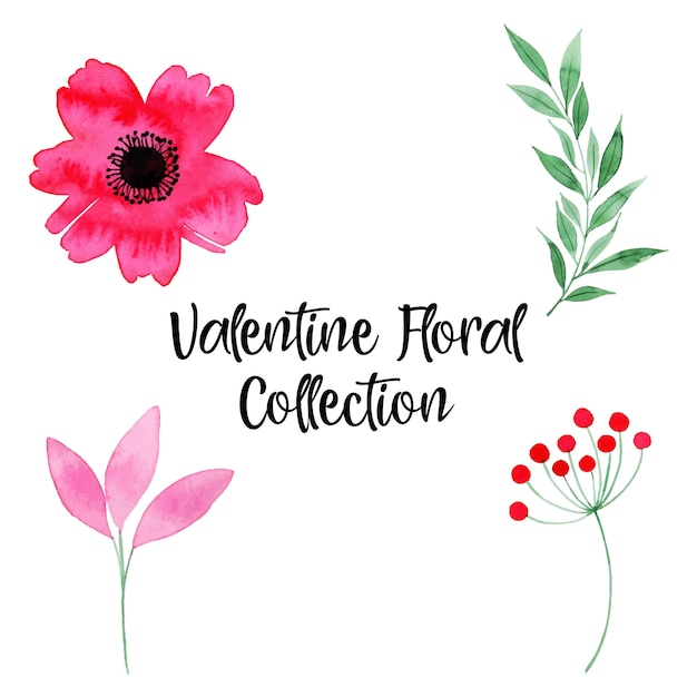 Acquerello Valentine Floral Collection