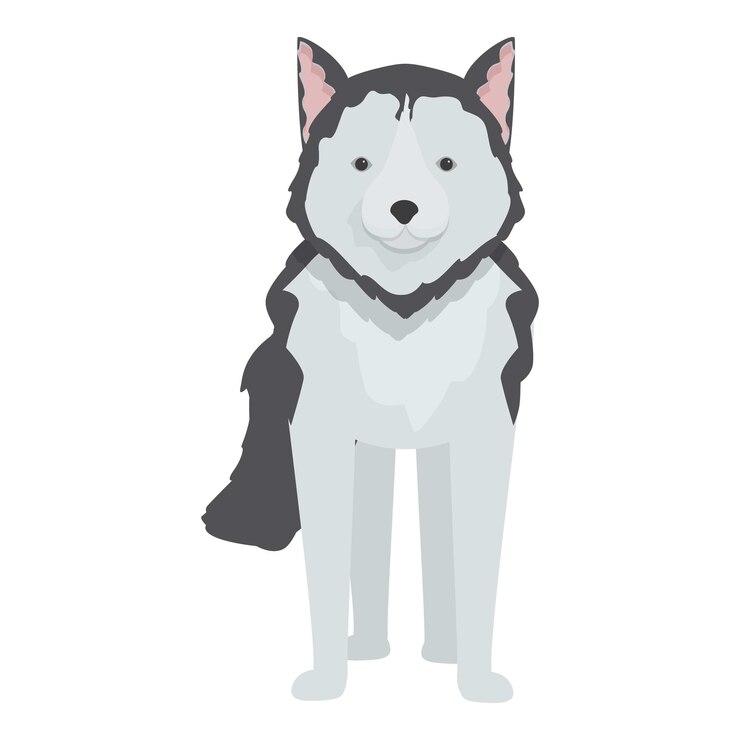 Vettore adorabile cane husky in piedi su uno sfondo bianco
