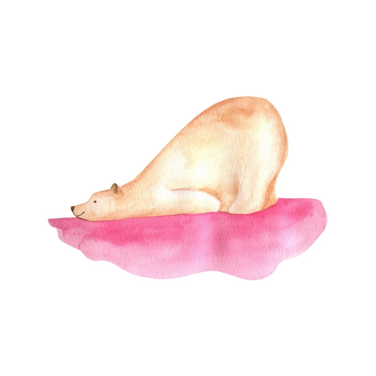 Vettore adorabile orso polare dell'acquerello