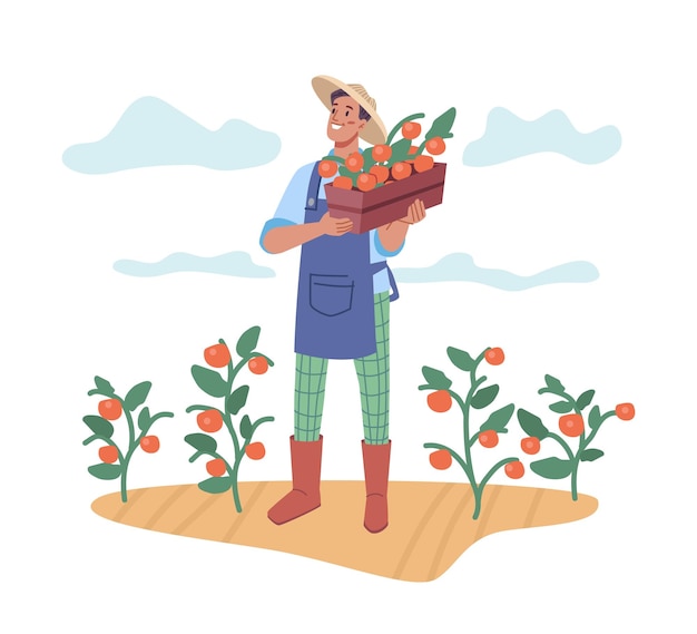 Agricoltore che raccoglie verdure uomo con pomodori