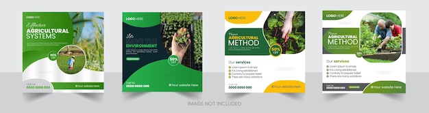agricoltura creativa e assistenza agricola Servizi di social media post o set di design di banner di aziende agricole biologiche