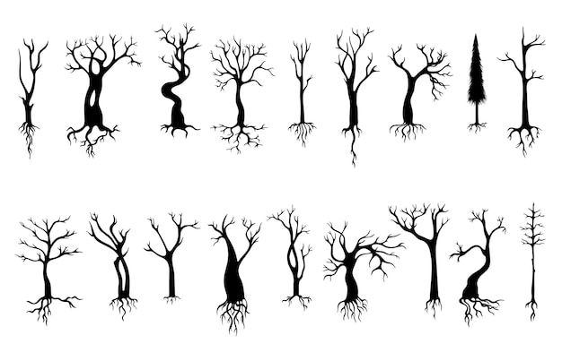 Alberi con radici silhouette di natura nera Alberi isolati nudi rami vuoti elementi decorativi Foresta autunno neoterico abstract clipart vettoriale