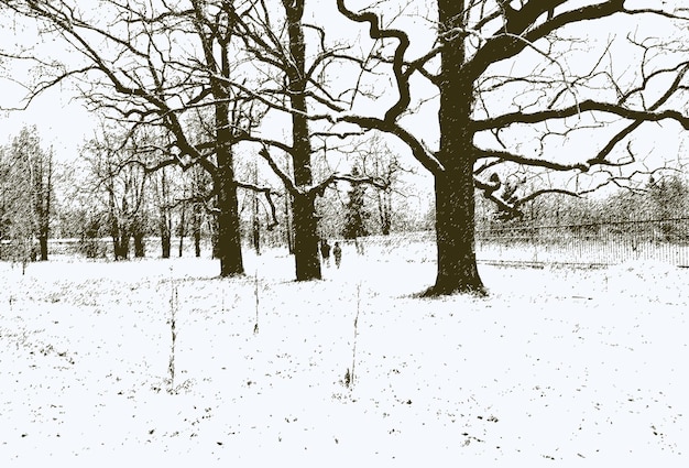 Alberi nel parco invernale