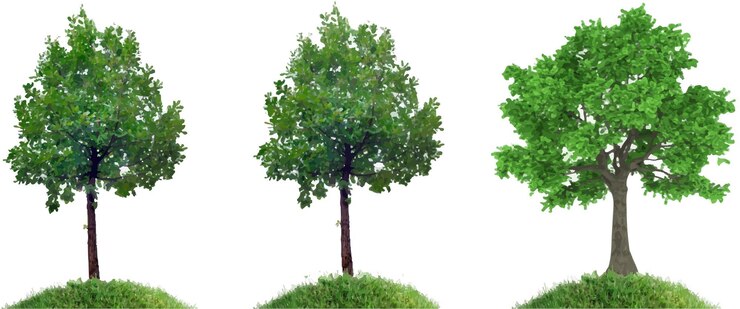 Vettore alberi verdi della giungla con sfondo bianco rendering 3d
