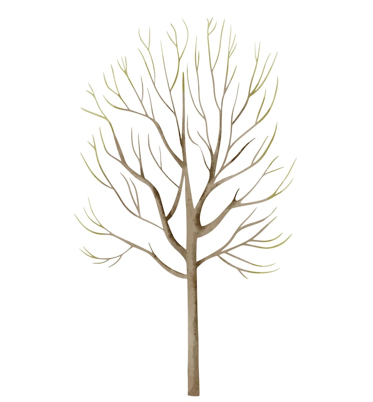 Vettore albero ad acquerello illustrazione disegnata a mano acquerello bosco acquerello elemento della natura