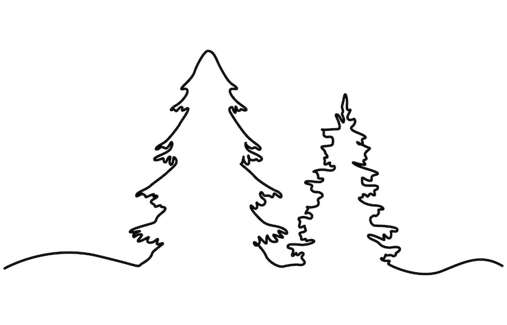 Vettore albero di abete in stile di disegno d'arte a linea continua disegno lineare nero di abete isolato su bianco
