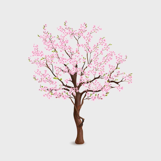 Albero di sakura realistico Fiore di ciliegio in primavera ramo di giardino fiori e foglie rosa natura giapponese flora fiorente ramoscello tronco di sakura alberi floreali illustrazione vettoriale esatta