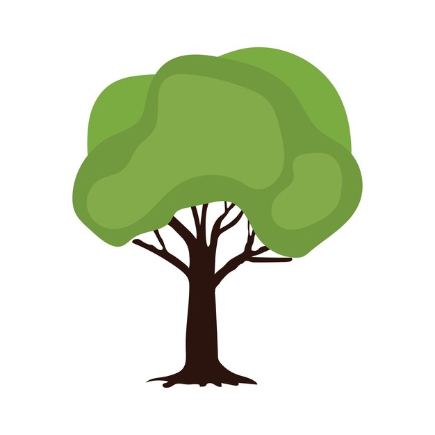 Albero illustrazione vettoriale