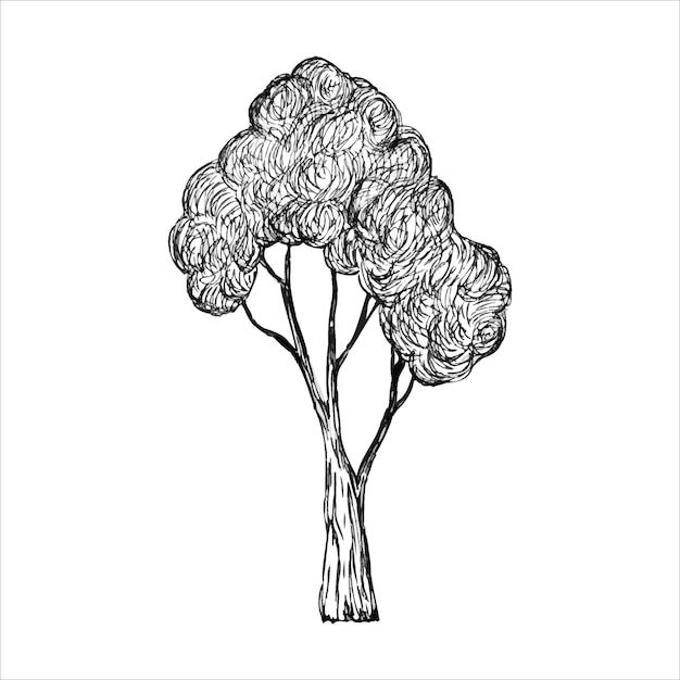 Albero in grafica Stile di incisione disegnato a mano