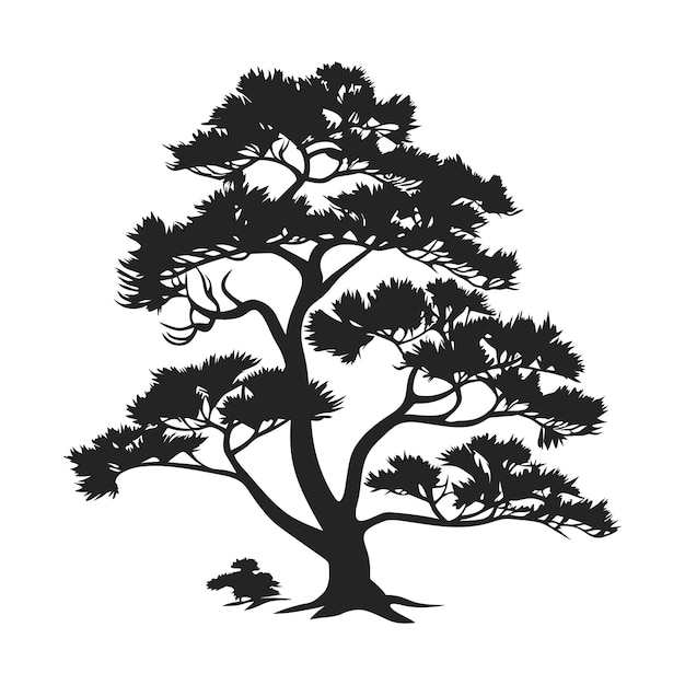 albero pino sagoma cipresso evengreen vettore cedro foresta legno illustrazione conifera albero logo modello tatuaggio design bianco e nero disegno illustrazione icona albero modello