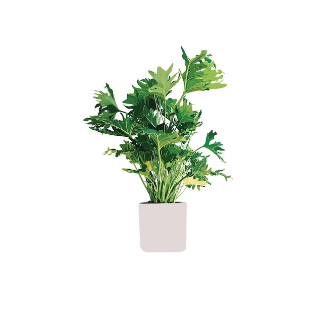 Albero verde su uno sfondo bianco