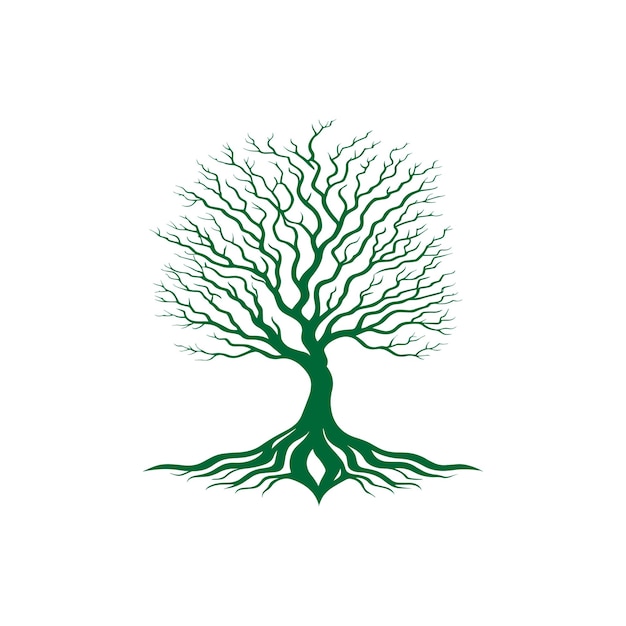 albero vettore icona Natura alberi illustrazione vettoriale logo design albero di primavera verde con volto femminile a