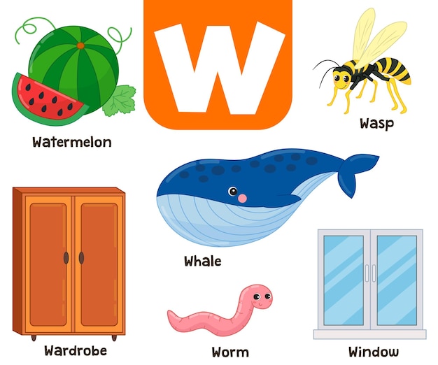 Alfabeto inglese nelle immagini Illustrazione vettoriale della lettera W colorata per bambini