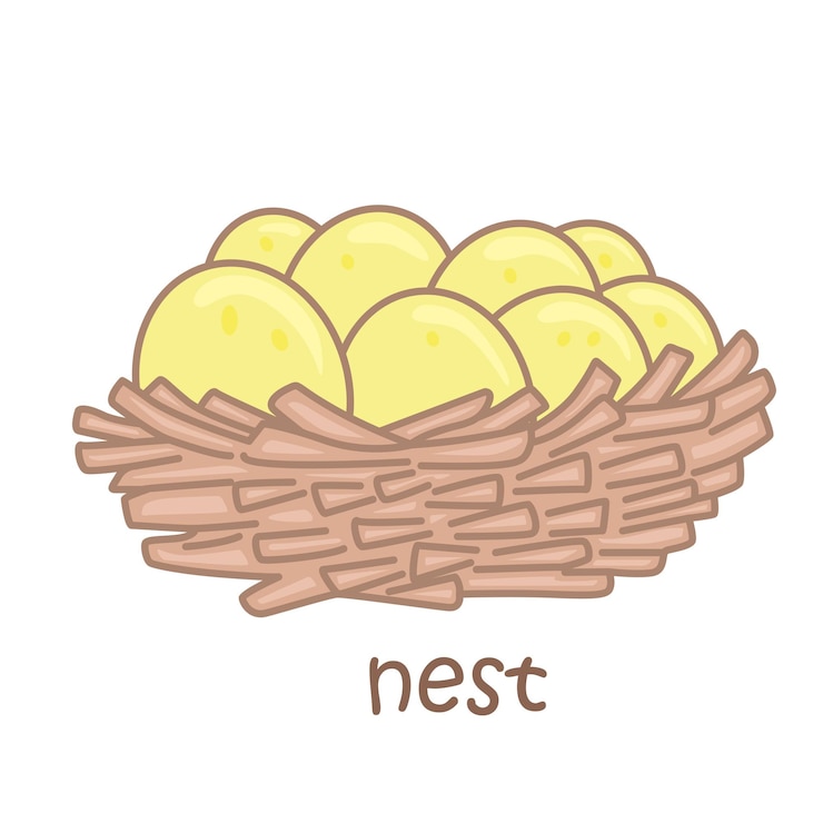Vettore alfabeto n per nest vocabulary school cartoon illustration vector clipart