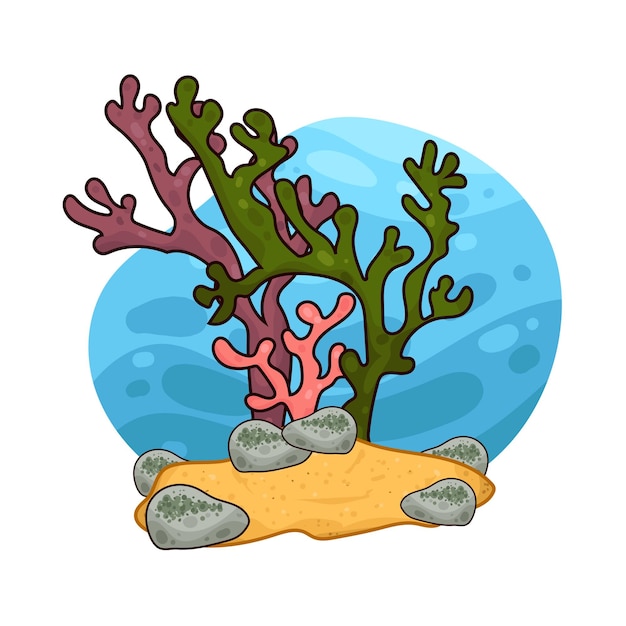 Alge marine