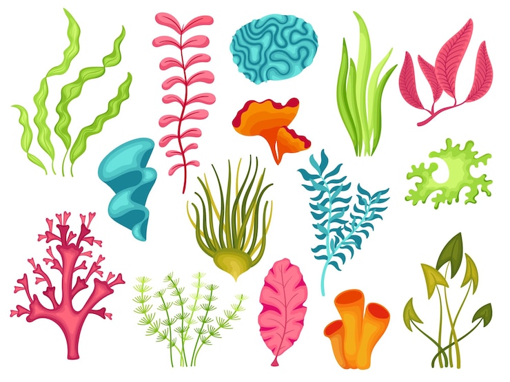 Vettore alghe dei cartoni animati alghe naturali coralli e alghe sott'acqua oggetti isolati dell'oceano e dell'acquario piante marine decorativo natura marina insieme ordinato di vettore