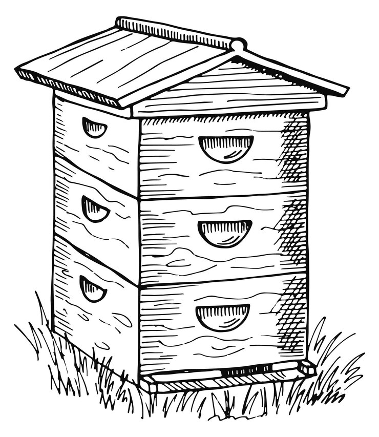 Alveare in legno Casa di sciame di api Schizzo di fattoria