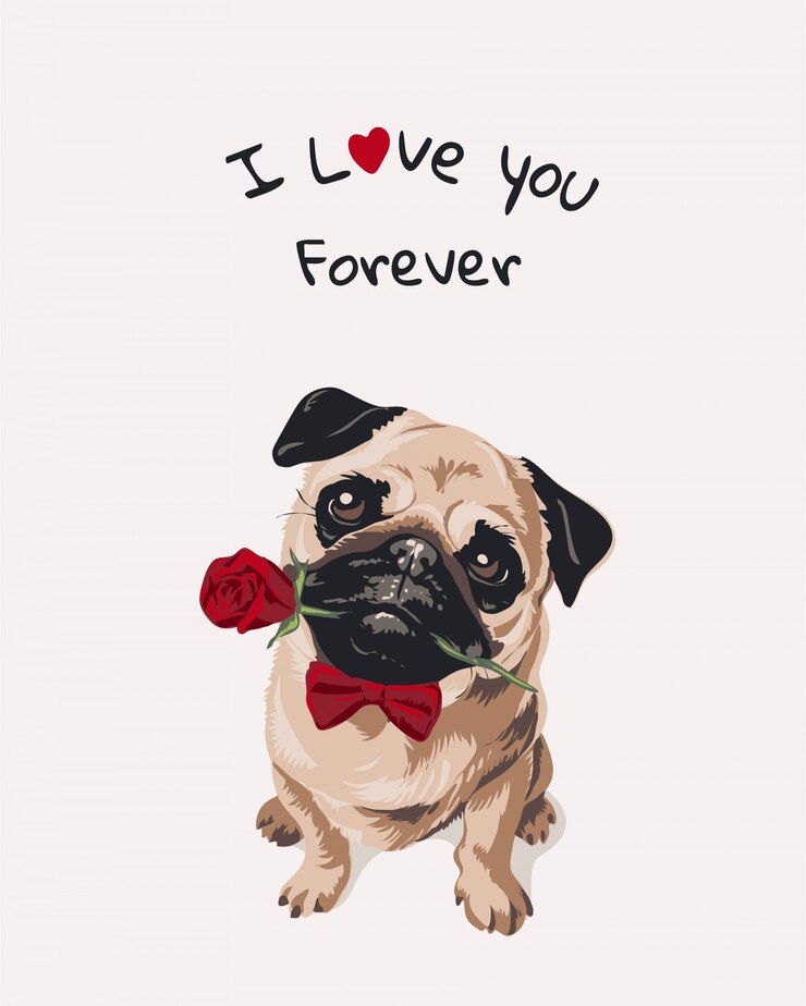 ami lo slogan con il cane del carlino del fumetto in farfallino con l'illustrazione della rosa in bocca