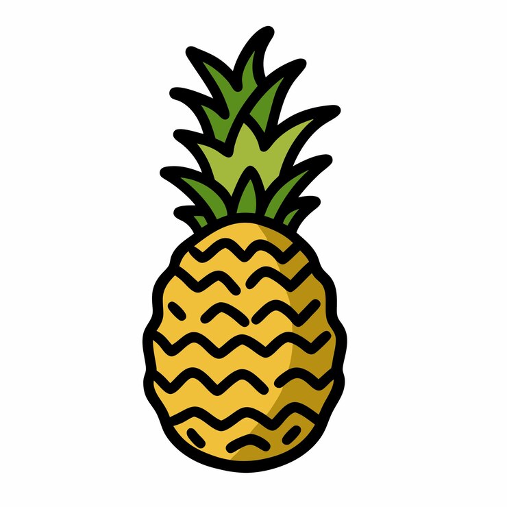 Vettore ananas a mano disegnato doodle icon isolato sfondo bianco 11