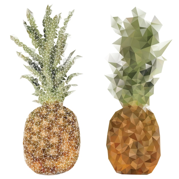 Ananas isolato su sfondo bianco Illustrazione vettoriale